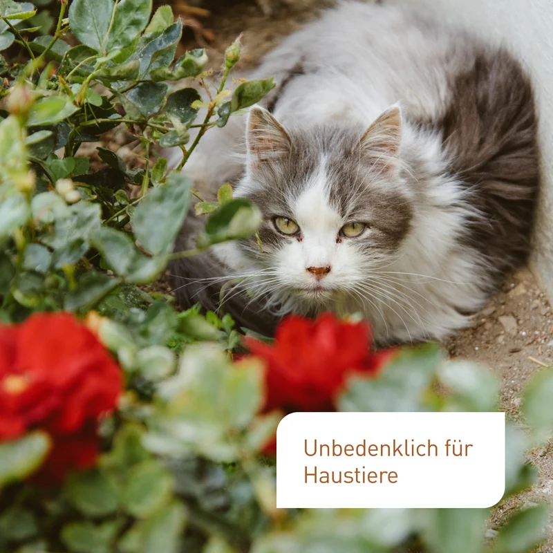 Bio-Rosendünger 1,5 kg
