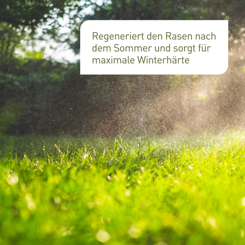 Bio-Herbstrasendünger 10,5 kg (Sack)