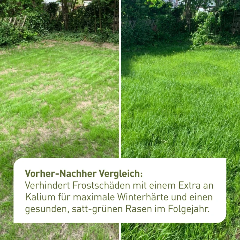 Bio-Herbstrasendünger 10,5 kg (Sack)