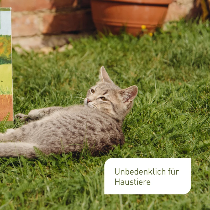 Bio-Herbstrasendünger 10,5 kg (Sack)
