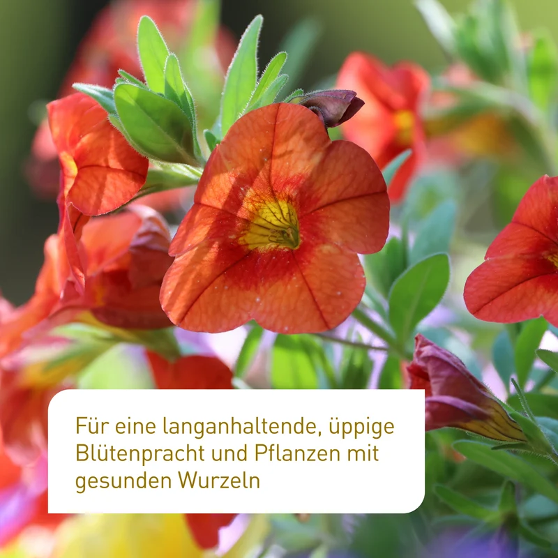Bio-Blumendünger 1,5 kg