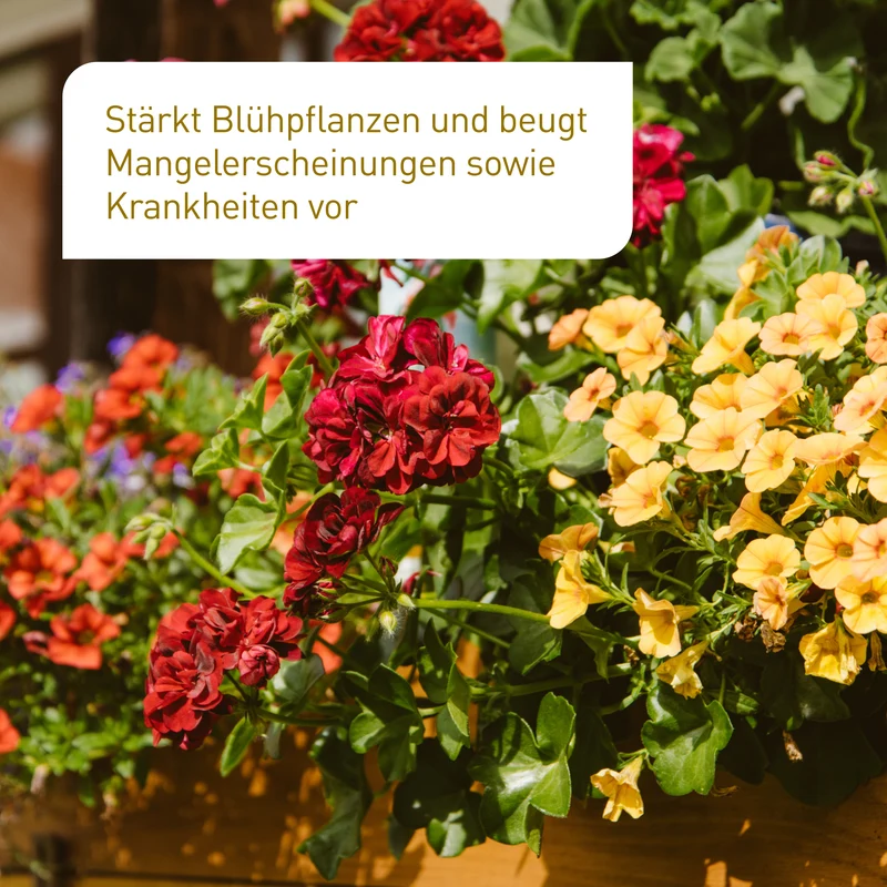 Bio-Blumendünger 1,5 kg