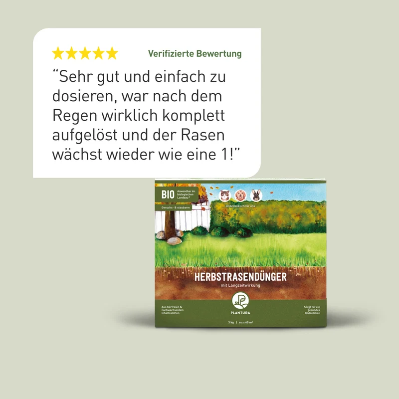 Bio-Herbstrasendünger 3 kg (Box)