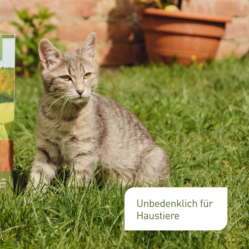 Bio-Herbstrasendünger 3 kg (Box)