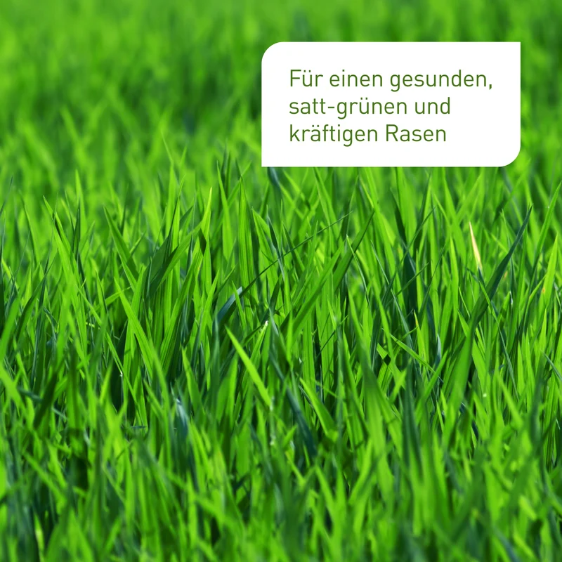 Bio-Rasendünger 3 kg (Box)