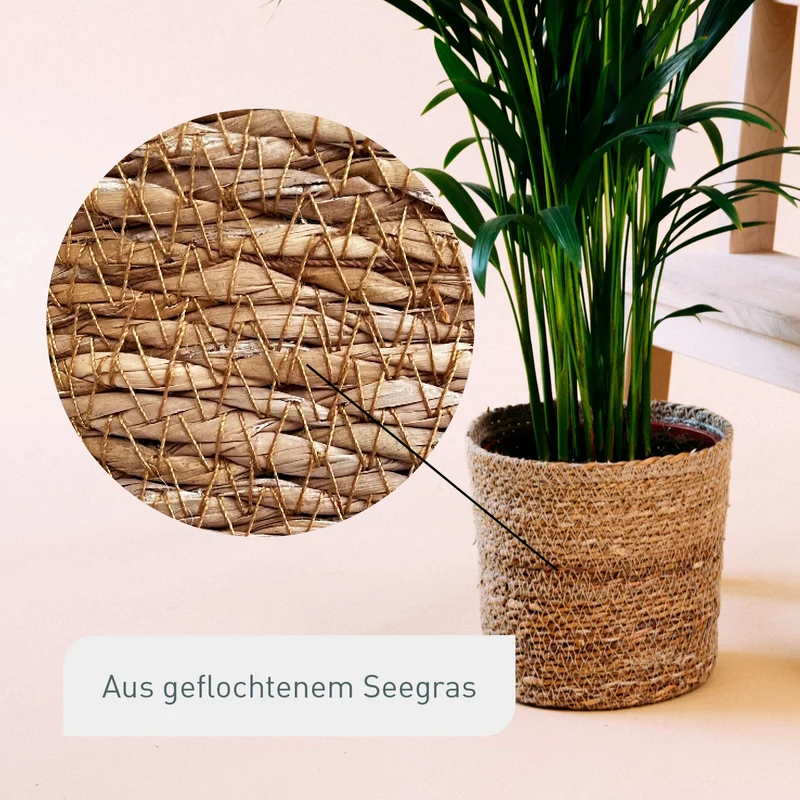 Übertopf aus Seegras