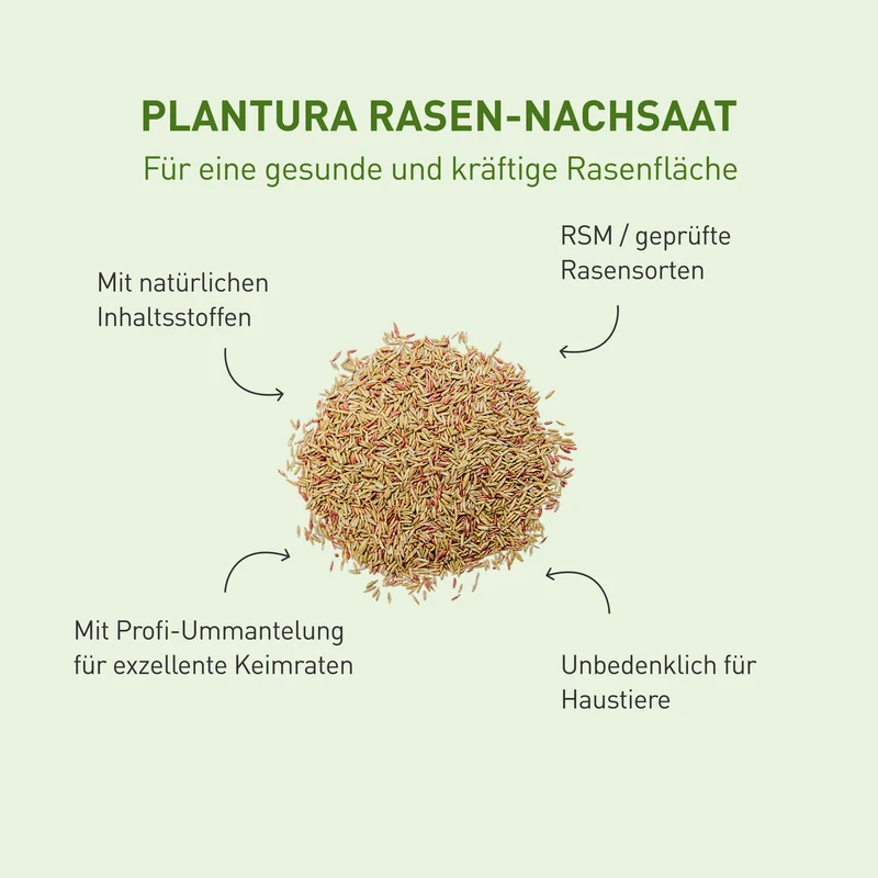 Rasen-Nachsaat 2 kg