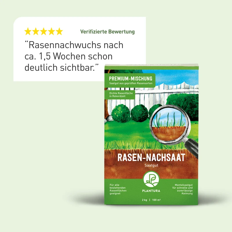 Rasen-Nachsaat 2 kg