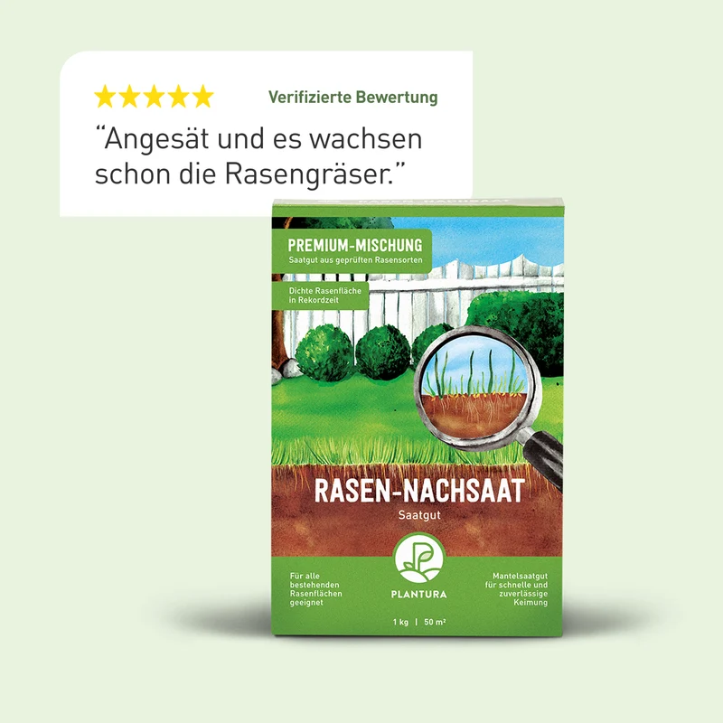 Rasen-Nachsaat 1 kg