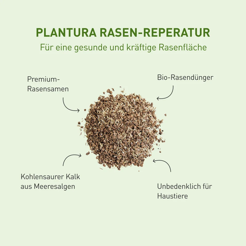 Rasen-Reparatur 1,5 kg