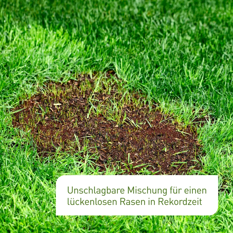 Rasen-Reparatur 1,5 kg