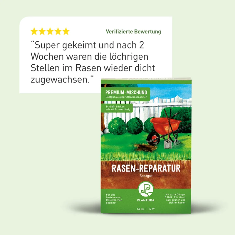 Rasen-Reparatur 1,5 kg