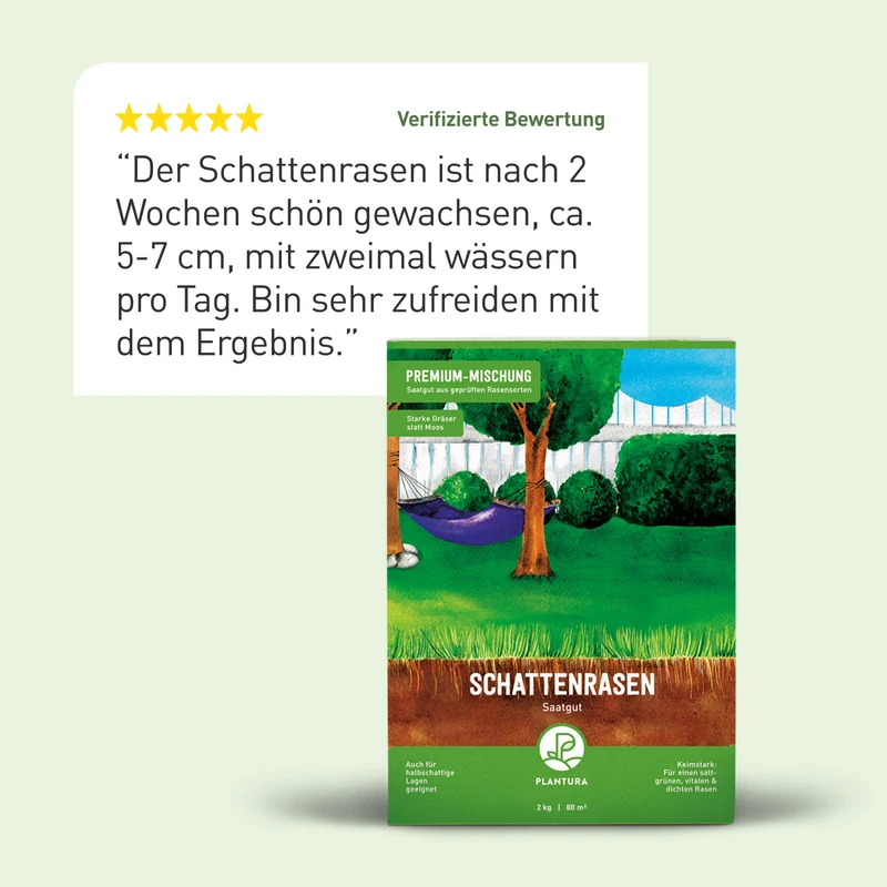 Schattenrasen 2 kg