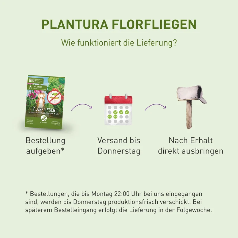 Florfliegen gegen Blattläuse, Thripse & Co.