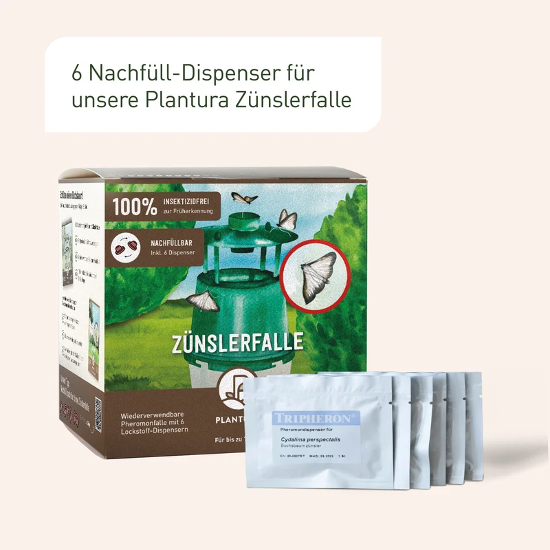 Buchsbaumzünslerfalle Nachfüllpack 6 Dispenser