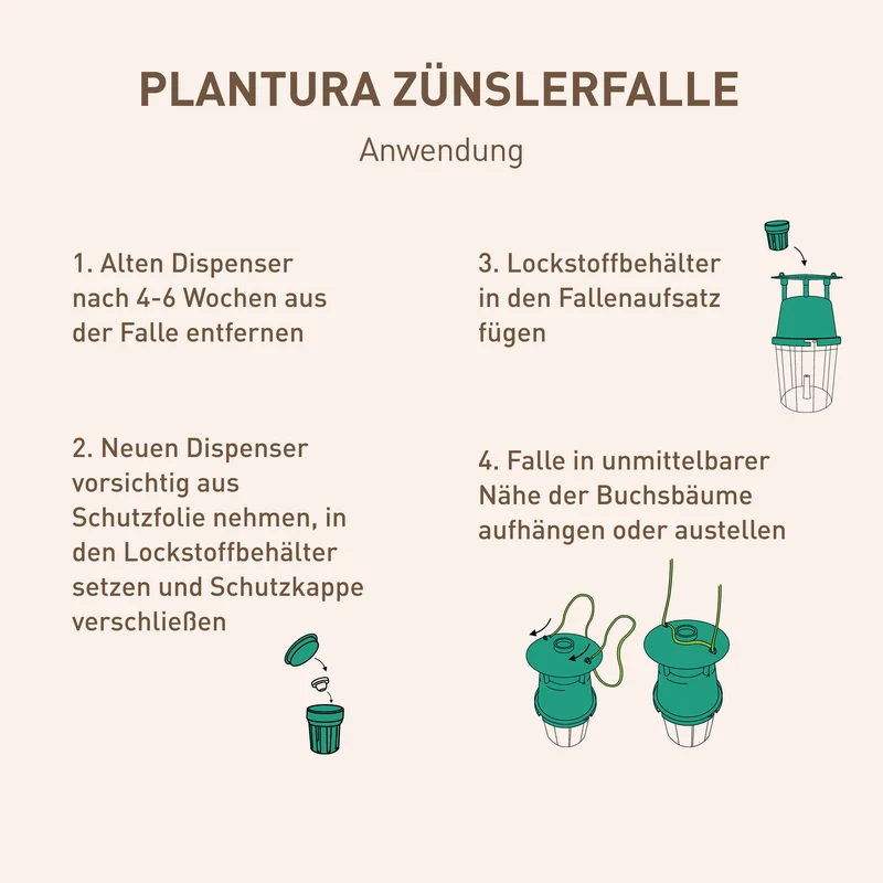 Buchsbaumzünslerfalle Nachfüllpack 6 Dispenser