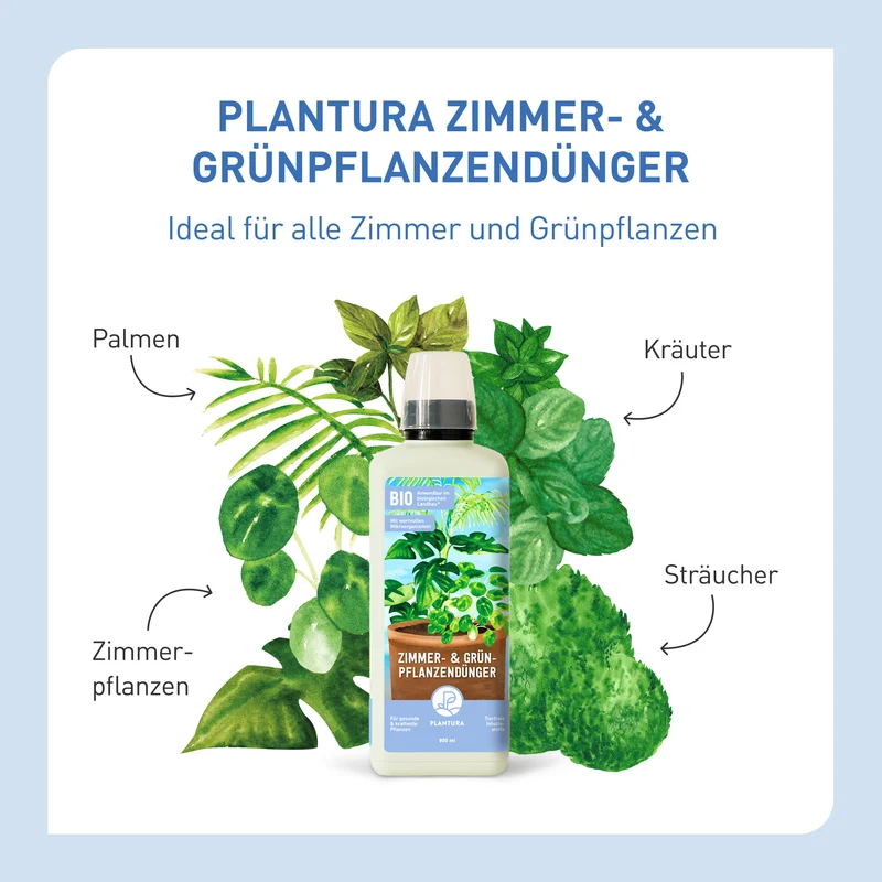Bio-Zimmer- & Grünpflanzendünger 800 ml