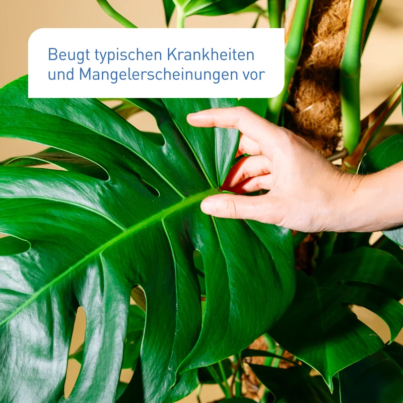 Bio-Zimmer- & Grünpflanzendünger 800 ml