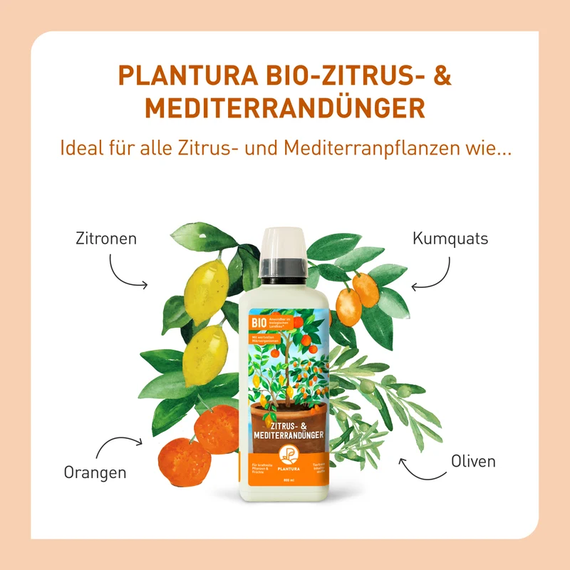 Bio-Zitrus- & Mediterrandünger 800 ml