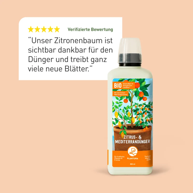 Bio-Zitrus- & Mediterrandünger 800 ml