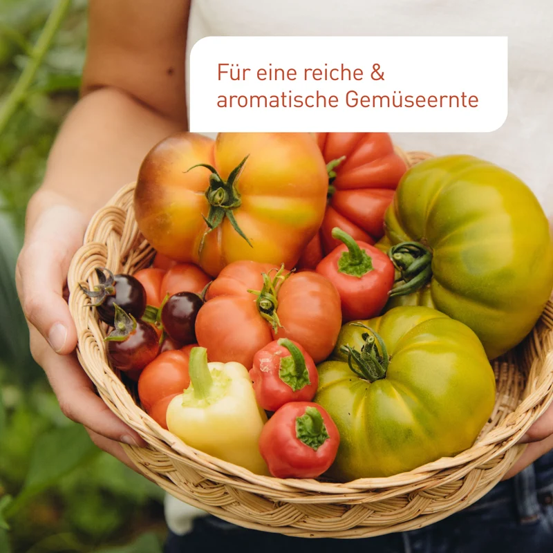 Bio-Tomatendünger 1,5 kg
