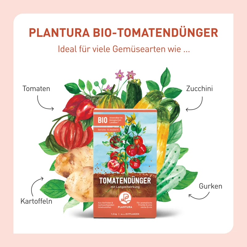 Bio-Tomatendünger 1,5 kg