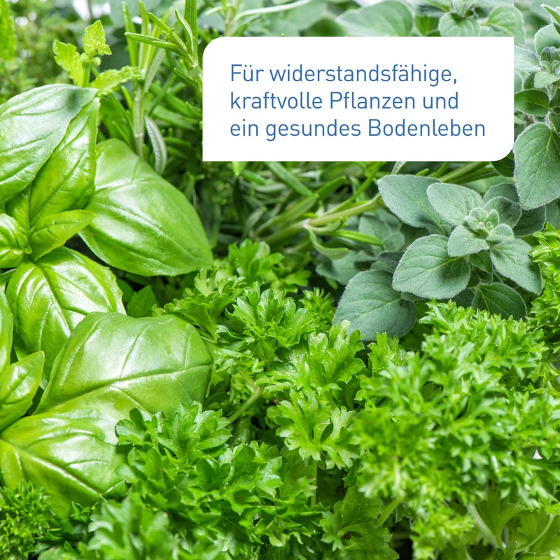 Bio-Universaldünger 1,5 kg