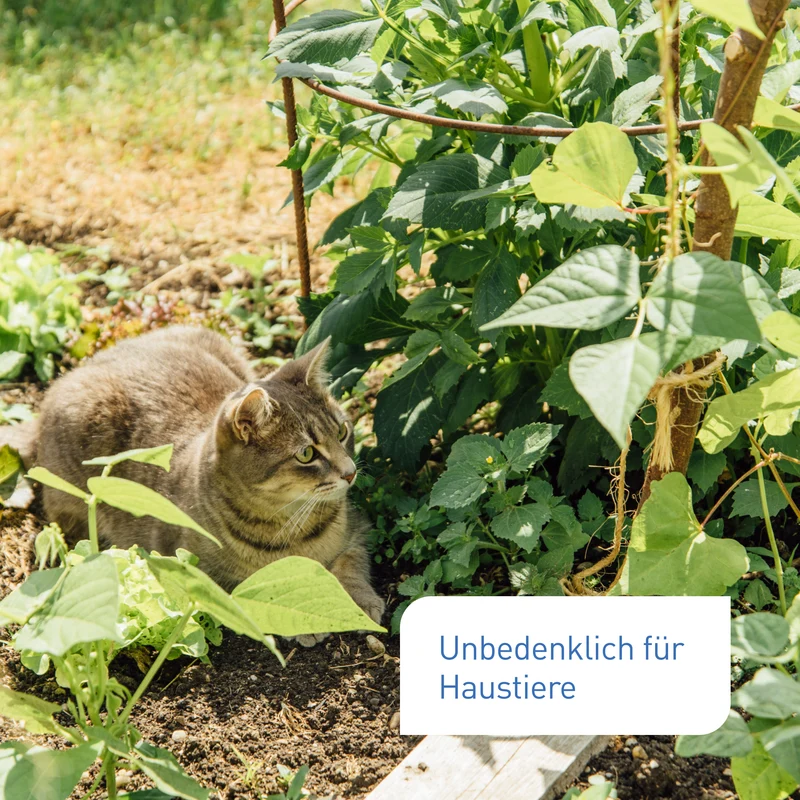 Bio-Universaldünger 1,5 kg
