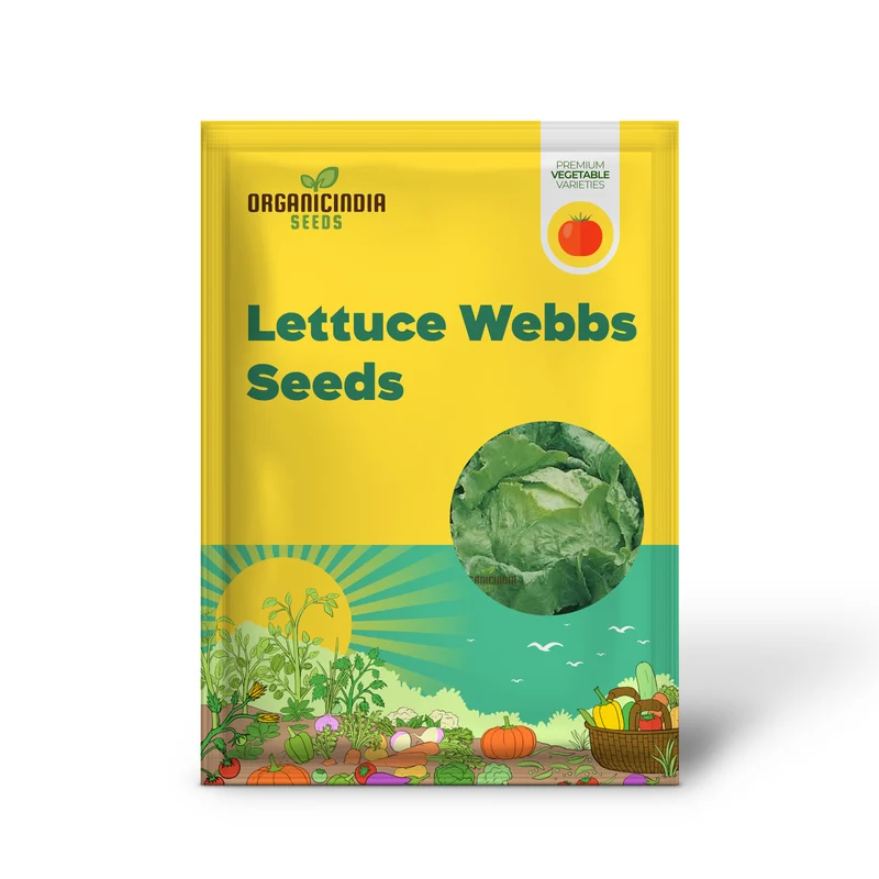 Lettuce Webbs Wonderful Vegetable Seeds for Planting, High-Quality Seeds for Home Gardening