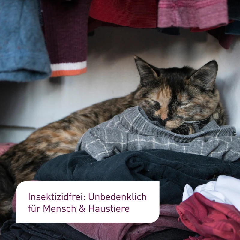 Kleidermotten-Fallen 6 Stück