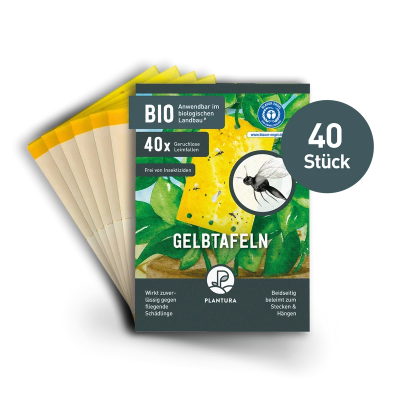 Gelbtafeln 40 Stück