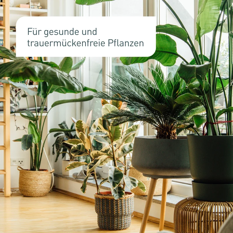 Gelbtafeln 40 Stück