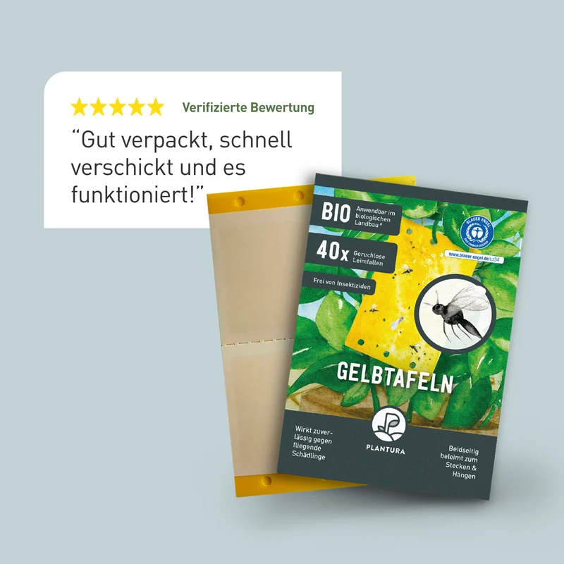 Gelbtafeln 40 Stück