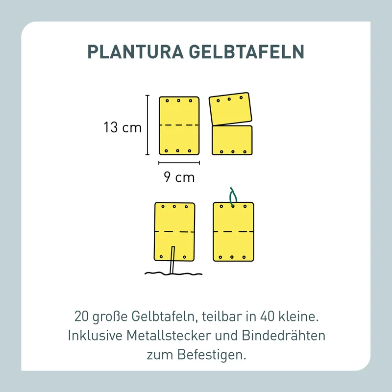 Gelbtafeln 40 Stück