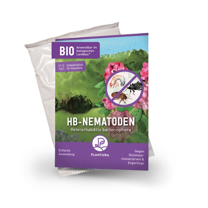 HB-Nematoden gegen Dickmaulrüssler & Engerlinge