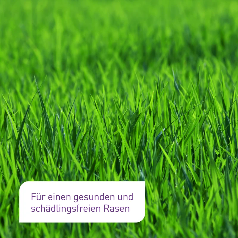 HB-Nematoden gegen Dickmaulrüssler & Engerlinge