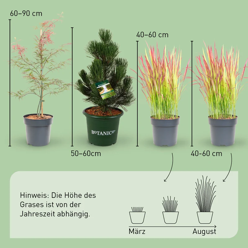 Asiagarten Zen (4er Set)
