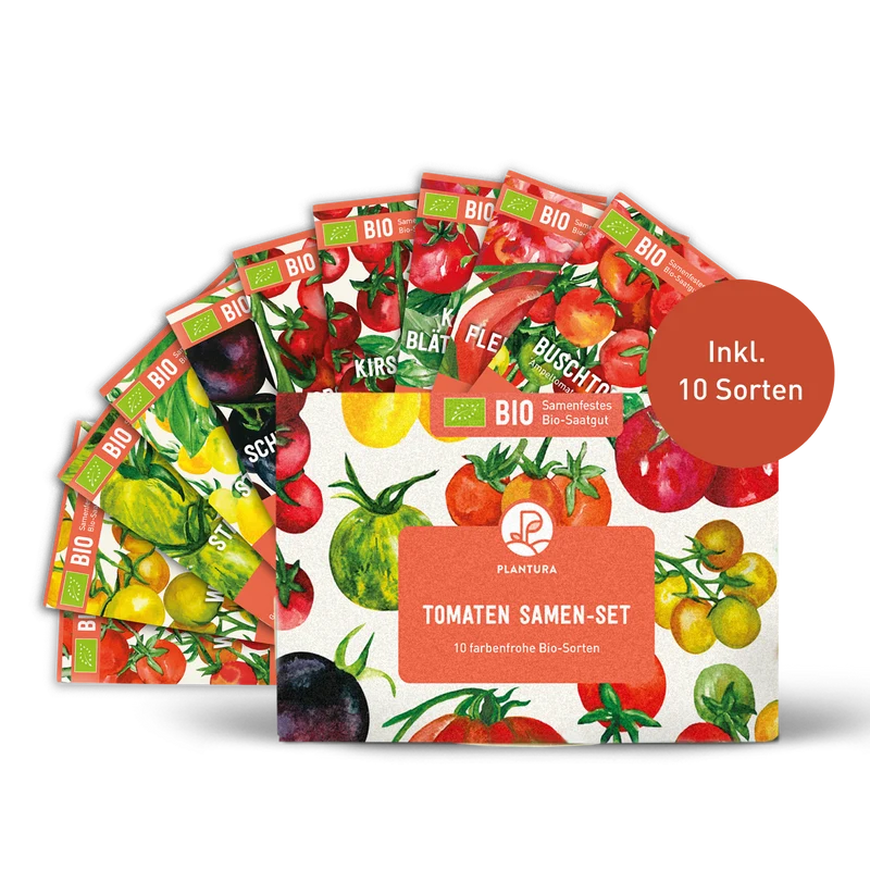Bio-Tomaten Samen-Set mit 10 Sorten