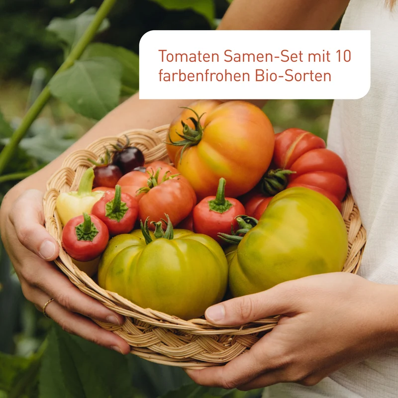 Bio-Tomaten Samen-Set mit 10 Sorten