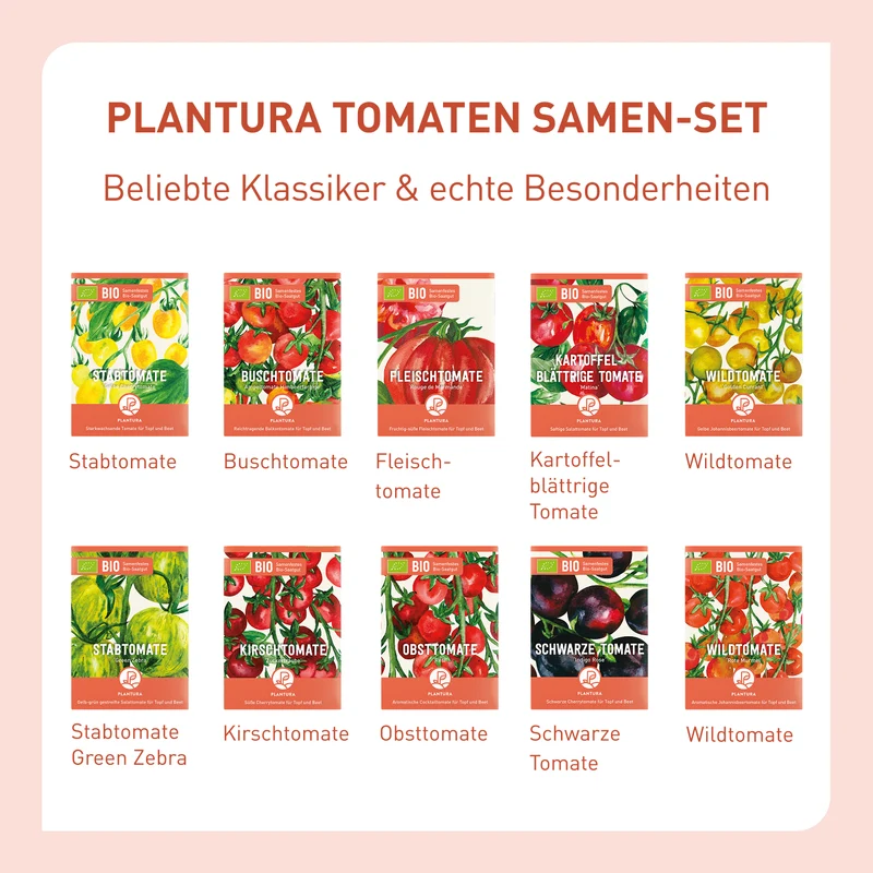 Bio-Tomaten Samen-Set mit 10 Sorten