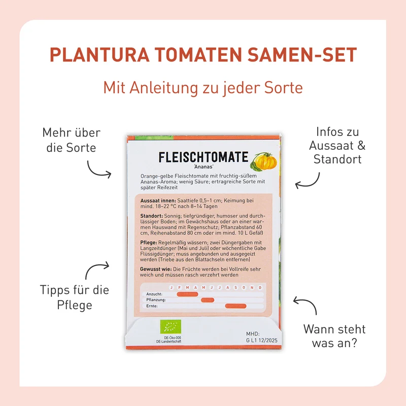 Bio-Tomaten Samen-Set mit 10 Sorten