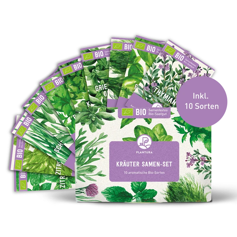 Bio-Kräuter Samen-Set mit 10 Sorten