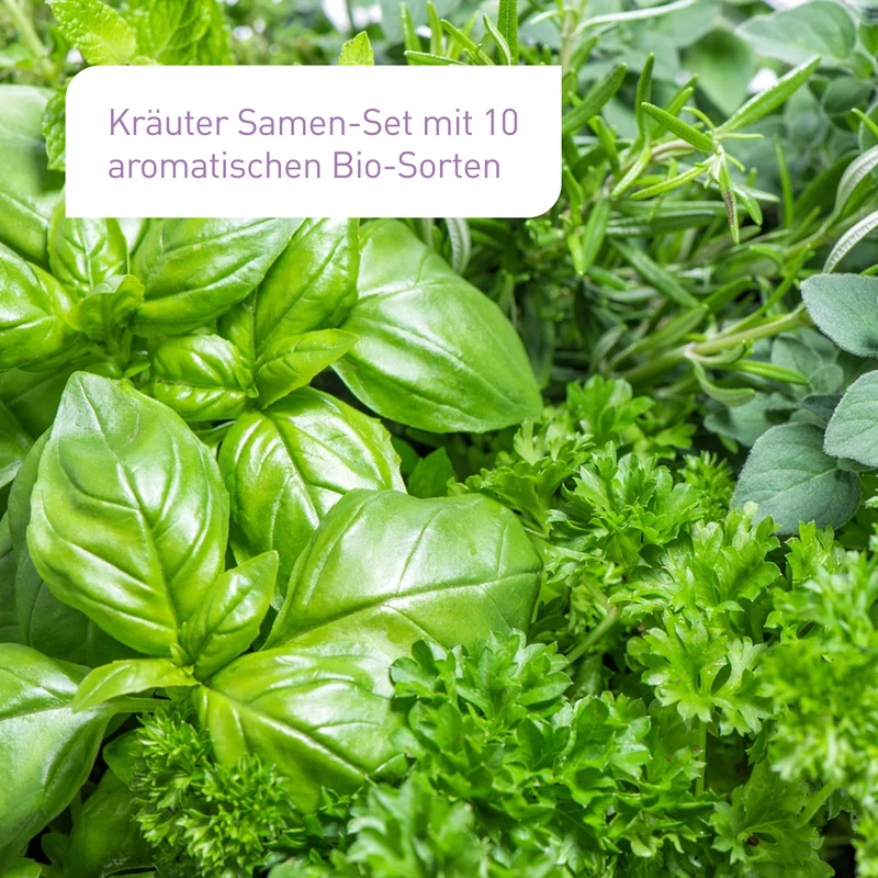 Bio-Kräuter Samen-Set mit 10 Sorten