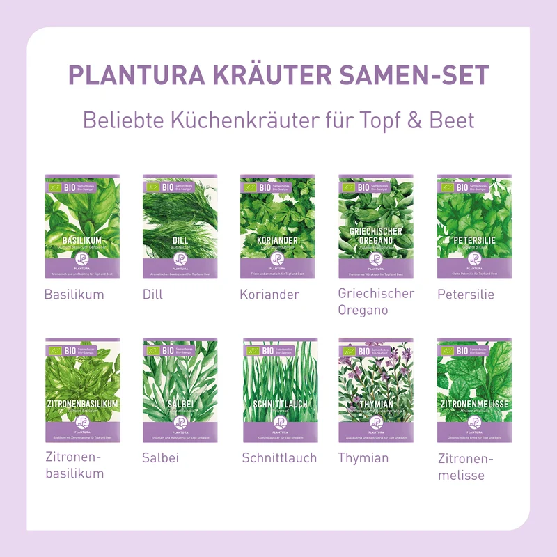 Bio-Kräuter Samen-Set mit 10 Sorten