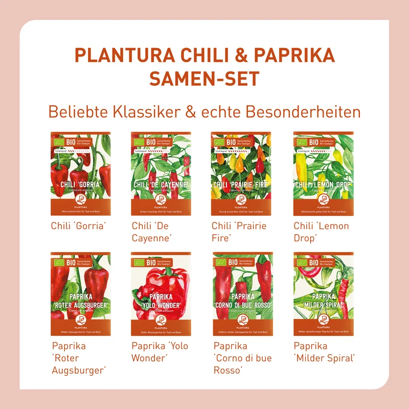 Bio-Chili & Paprika Samen-Set mit 8 Sorten