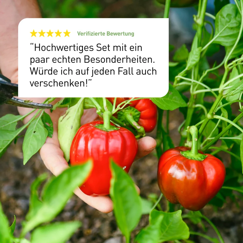 Bio-Chili & Paprika Samen-Set mit 8 Sorten