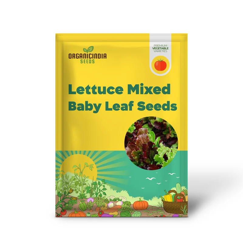 Lettuce Mixed Baby Leaf Vegetable Seeds for Planting, Premium Seeds for Home Gardeners