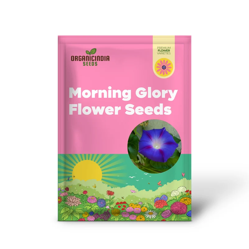 Morning Glory Heavenly Blue Seeds – Climbing Ornamental Vine