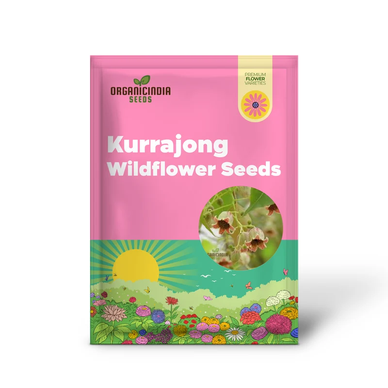 White Kurrajong WILDFLOWER Seeds for Planting - Gardening and Planting in Your Garden