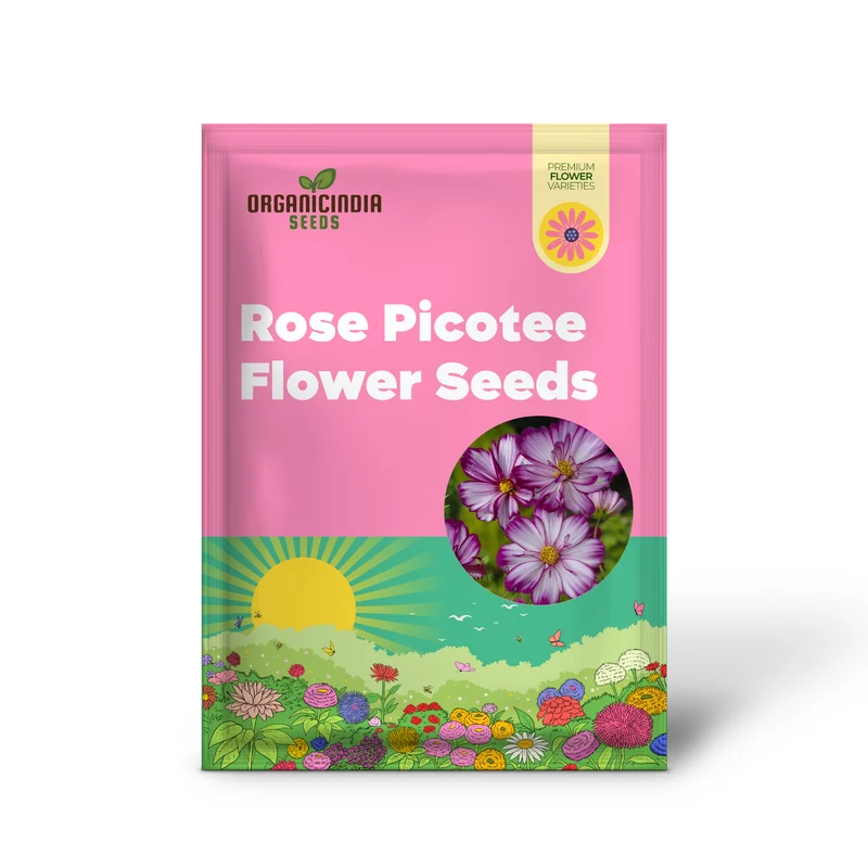 Cosmos Seeds (Fizzy Rose Picotee Cosmos Seeds) - Multi-Colored Ruffled Blooms for Gardens